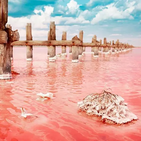 Apartment Cosy 200m From The Sea *